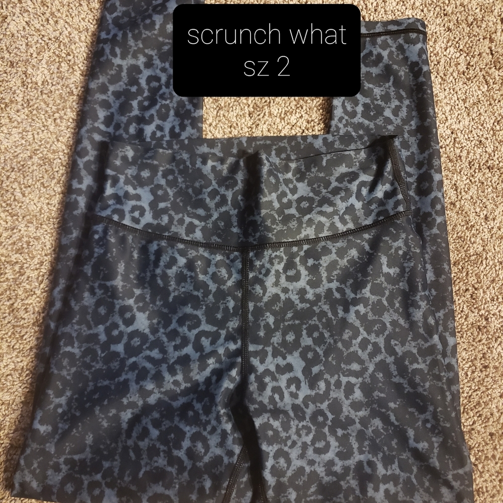 Zyia scrunch what sz 2